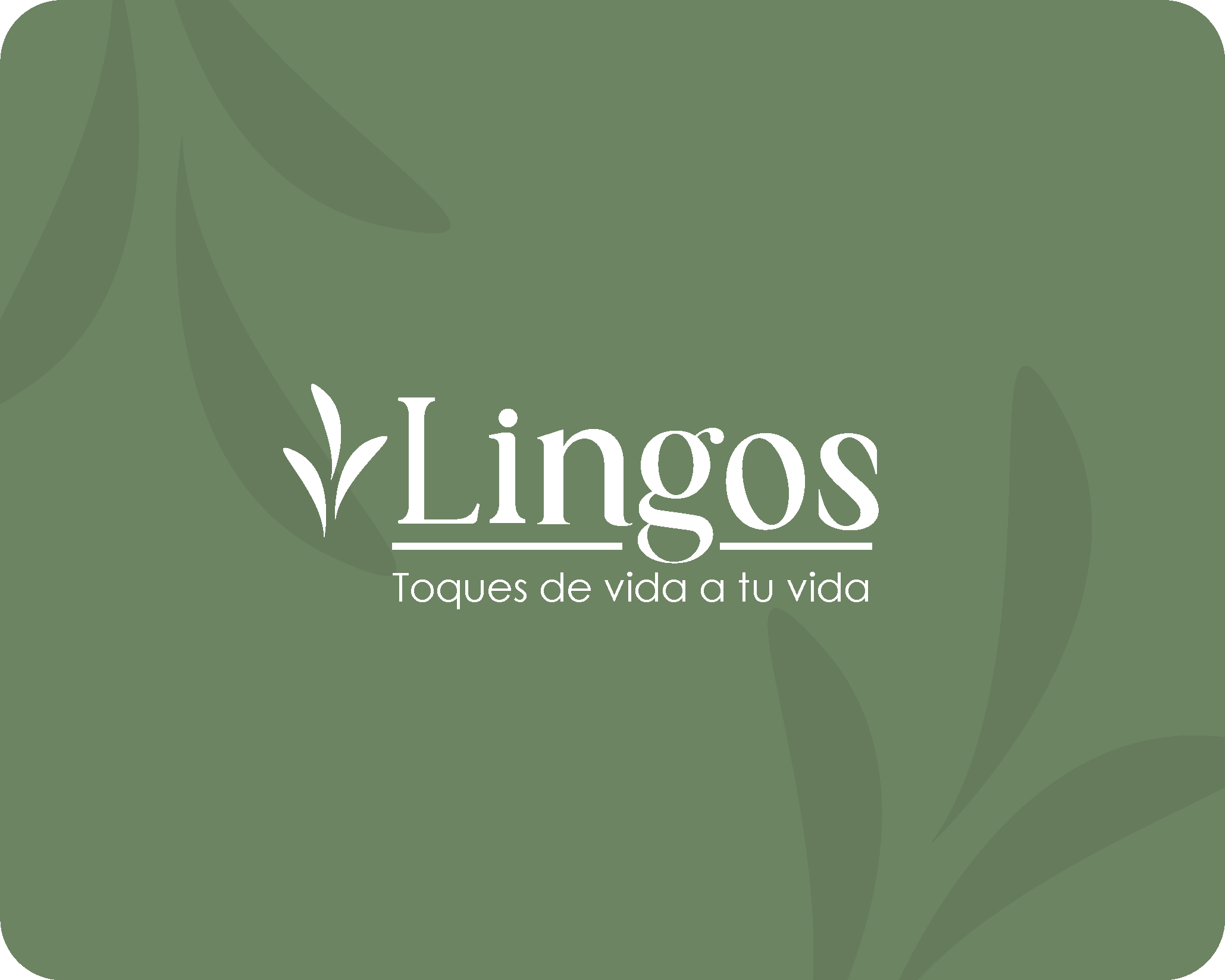 lingosRecurso 55